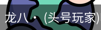 龙八头号玩家